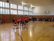 II-4 dogovor