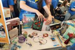 IMG-4d3cf21e8484748f17ee1077a1d18d50-V