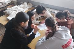 IMG-2f164560aac8513f4c147290f9056118-V