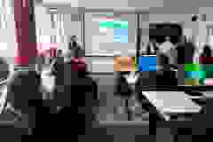 26