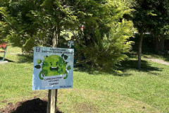 image-123650291-3