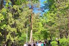 IMG-66ab9689267bb22ac8ba0220bb71ccca-V