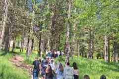 IMG-83de115a4d9801998fec8c2063995485-V