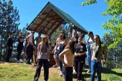 IMG-acd79dd8137bb49eab5e8ec47d85c987-V