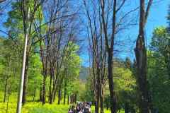 IMG-e2090ee001373b76472163d0c010b328-V
