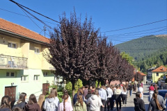 IMG-6824