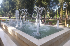 IMG-20240624-085646