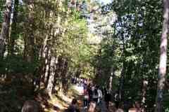 1695978202973