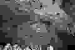 IMG-d88fdba6e257665844ea5d00b7d8ed66-V