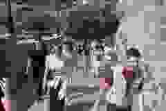 IMG-2d2ea8be16e6a9c26b7a7e1dd147c58b-V