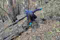 IMG-97b3f570c7340924f57cfa110bdb80d2-V