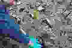 IMG-c9c8367b07d15892f47c3a683394b8d8-V