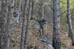 IMG-ee9be6ae1de5c4cdd85b998a19c3525c-V