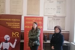 IМГ-д0161д0б4ц02366еаеа018е5е18ц9470-В