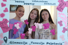 IMG-22b69e699a0588c271af288112ea501e-V