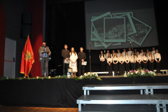 DSCauto0888