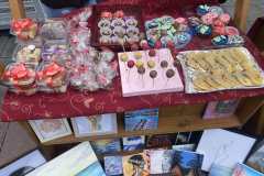 IMG-bfcce9ddd28e6b9657e345254af96f75-V