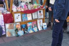 IMG-caef01e601d93bd4aa9ce1e8b8d1ad4d-V
